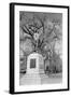 Statue of Daniel Webster-Philip Gendreau-Framed Photographic Print