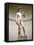 Statue of David, Accademia Gallery, Florence, Italy-Peter Thompson-Framed Stretched Canvas