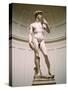 Statue of David, Accademia Gallery, Florence, Italy-Peter Thompson-Stretched Canvas