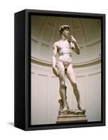 Statue of David, Accademia Gallery, Florence, Italy-Peter Thompson-Framed Stretched Canvas