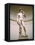 Statue of David, Accademia Gallery, Florence, Italy-Peter Thompson-Framed Stretched Canvas