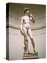 Statue of David, Accademia Gallery, Florence, Italy-Peter Thompson-Stretched Canvas