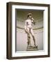 Statue of David, Accademia Gallery, Florence, Italy-Peter Thompson-Framed Photographic Print