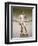 Statue of David, Accademia Gallery, Florence, Italy-Peter Thompson-Framed Photographic Print