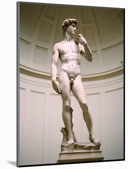 Statue of David, Accademia Gallery, Florence, Italy-Peter Thompson-Mounted Photographic Print