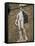 Statue of David by Michelangelo in the Piazza Della Signoria in Florence, Tuscany, Italy-Lightfoot Jeremy-Framed Stretched Canvas