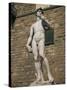 Statue of David by Michelangelo in the Piazza Della Signoria in Florence, Tuscany, Italy-Lightfoot Jeremy-Stretched Canvas