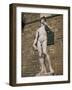 Statue of David by Michelangelo in the Piazza Della Signoria in Florence, Tuscany, Italy-Lightfoot Jeremy-Framed Photographic Print