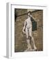 Statue of David by Michelangelo in the Piazza Della Signoria in Florence, Tuscany, Italy-Lightfoot Jeremy-Framed Photographic Print