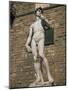 Statue of David by Michelangelo in the Piazza Della Signoria in Florence, Tuscany, Italy-Lightfoot Jeremy-Mounted Photographic Print