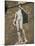 Statue of David by Michelangelo in the Piazza Della Signoria in Florence, Tuscany, Italy-Lightfoot Jeremy-Mounted Photographic Print