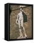 Statue of David by Michelangelo in the Piazza Della Signoria in Florence, Tuscany, Italy-Lightfoot Jeremy-Framed Stretched Canvas