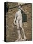 Statue of David by Michelangelo in the Piazza Della Signoria in Florence, Tuscany, Italy-Lightfoot Jeremy-Stretched Canvas