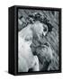 Statue of David, Florence, Tuscany, Italy-Alan Copson-Framed Stretched Canvas