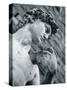 Statue of David, Florence, Tuscany, Italy-Alan Copson-Stretched Canvas