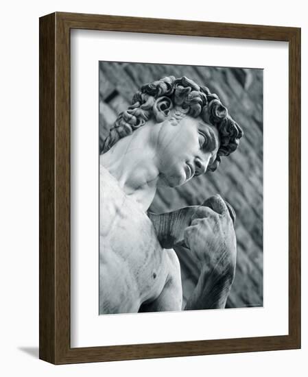 Statue of David, Florence, Tuscany, Italy-Alan Copson-Framed Photographic Print