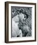 Statue of David, Florence, Tuscany, Italy-Alan Copson-Framed Photographic Print