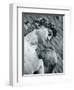 Statue of David, Florence, Tuscany, Italy-Alan Copson-Framed Photographic Print