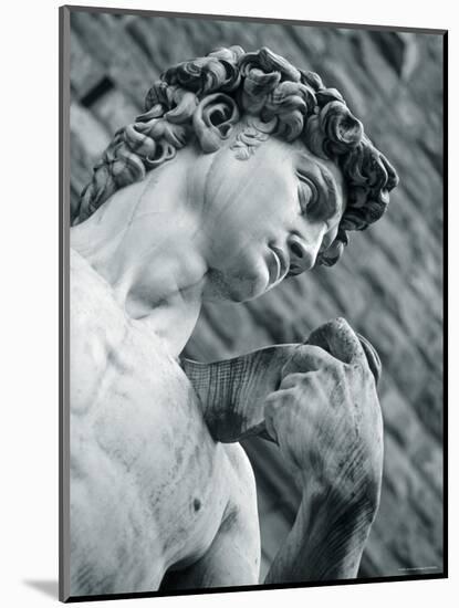 Statue of David, Florence, Tuscany, Italy-Alan Copson-Mounted Photographic Print