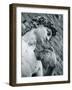 Statue of David, Florence, Tuscany, Italy-Alan Copson-Framed Photographic Print