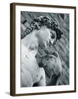 Statue of David, Florence, Tuscany, Italy-Alan Copson-Framed Photographic Print