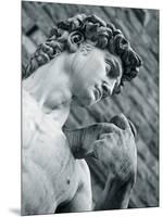 Statue of David, Florence, Tuscany, Italy-Alan Copson-Mounted Photographic Print