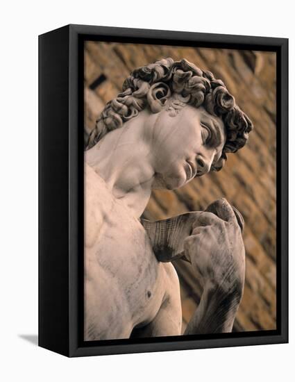 Statue of David, Piazza Della Signoria, Florence, Tuscany, Italy-Walter Bibikow-Framed Stretched Canvas