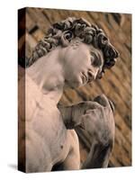 Statue of David, Piazza Della Signoria, Florence, Tuscany, Italy-Walter Bibikow-Stretched Canvas