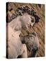 Statue of David, Piazza Della Signoria, Florence, Tuscany, Italy-Walter Bibikow-Stretched Canvas