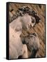 Statue of David, Piazza Della Signoria, Florence, Tuscany, Italy-Walter Bibikow-Framed Stretched Canvas