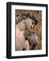 Statue of David, Piazza Della Signoria, Florence, Tuscany, Italy-Walter Bibikow-Framed Photographic Print