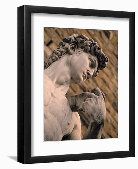 Statue of David, Piazza Della Signoria, Florence, Tuscany, Italy-Walter Bibikow-Framed Photographic Print