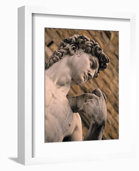 Statue of David, Piazza Della Signoria, Florence, Tuscany, Italy-Walter Bibikow-Framed Photographic Print