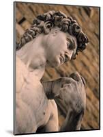 Statue of David, Piazza Della Signoria, Florence, Tuscany, Italy-Walter Bibikow-Mounted Photographic Print