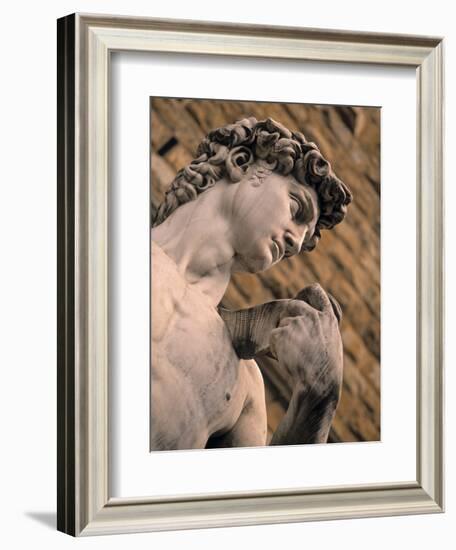 Statue of David, Piazza Della Signoria, Florence, Tuscany, Italy-Walter Bibikow-Framed Photographic Print