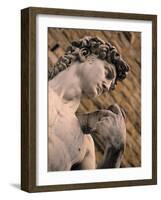 Statue of David, Piazza Della Signoria, Florence, Tuscany, Italy-Walter Bibikow-Framed Photographic Print