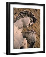 Statue of David, Piazza Della Signoria, Florence, Tuscany, Italy-Walter Bibikow-Framed Photographic Print