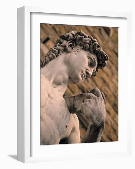 Statue of David, Piazza Della Signoria, Florence, Tuscany, Italy-Walter Bibikow-Framed Photographic Print