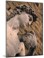 Statue of David, Piazza Della Signoria, Florence, Tuscany, Italy-Walter Bibikow-Mounted Photographic Print