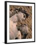 Statue of David, Piazza Della Signoria, Florence, Tuscany, Italy-Walter Bibikow-Framed Photographic Print