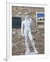 Statue of David, Piazza della Signoria, Florence, UNESCO World Heritage Site, Tuscany, Italy-Vincenzo Lombardo-Framed Photographic Print