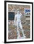 Statue of David, Piazza della Signoria, Florence, UNESCO World Heritage Site, Tuscany, Italy-Vincenzo Lombardo-Framed Photographic Print