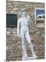 Statue of David, Piazza della Signoria, Florence, UNESCO World Heritage Site, Tuscany, Italy-Vincenzo Lombardo-Mounted Photographic Print