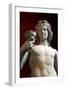 Statue of Dionysus, God of Wine and Patron of Wine Making-null-Framed Photographic Print