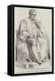 Statue of Dr Jenner, Sculptured by W C Marshall-null-Framed Stretched Canvas