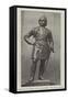 Statue of Duke of Connaught, for Hong-Kong-null-Framed Stretched Canvas