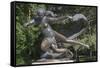 Statue of Egle-null-Framed Stretched Canvas