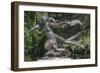 Statue of Egle-null-Framed Photographic Print