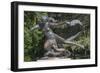 Statue of Egle-null-Framed Photographic Print