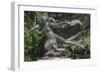 Statue of Egle-null-Framed Photographic Print